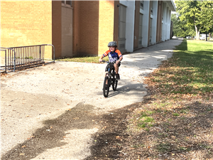 McCurdy Brody - Great Cycle
